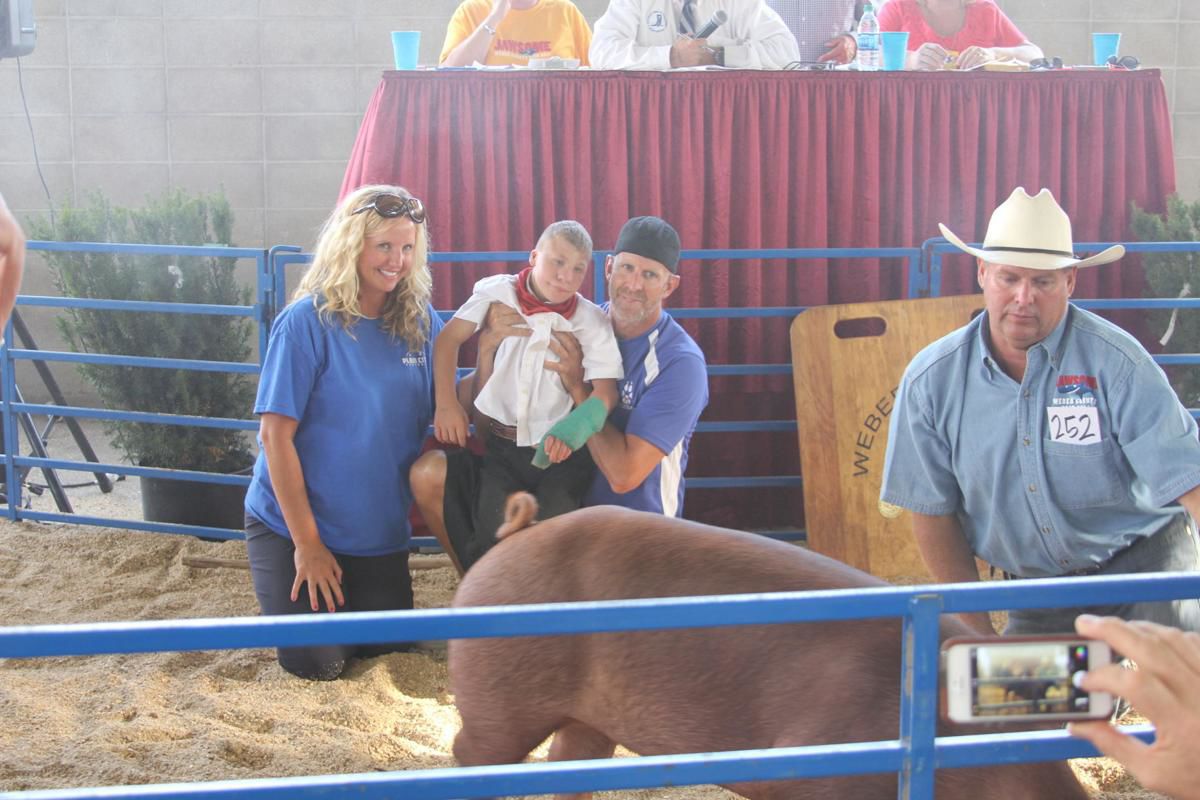 Weber County Fair, a community tradition News, Sports, Jobs